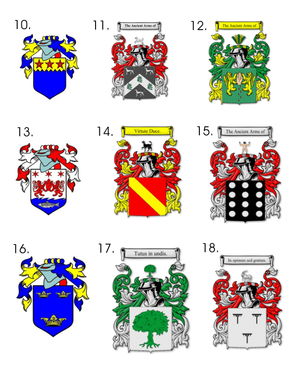 Coat of Arms - Your Choice